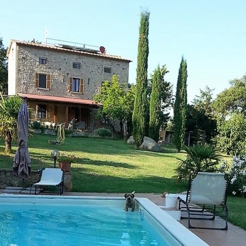 PODERE FUNGAIO