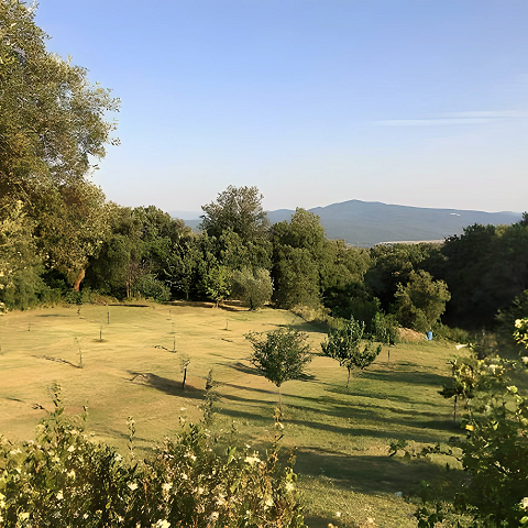 PODERE FUNGAIO